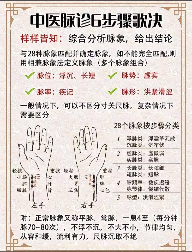 中医脉诊讲解视频_中医脉诊教学视频全集_中医诊断学脉诊视频讲座