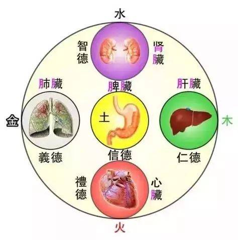调气血是中医食疗唯一的实现途径_中医治疗气血_中医调气血吃哪几种药