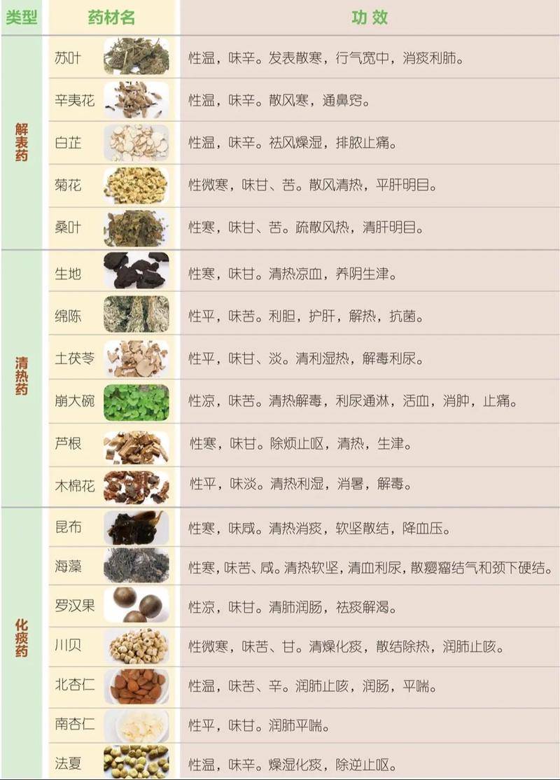 养生中医全书食疗药膳大全_中医养生药膳与食疗全书_中医药养生药膳