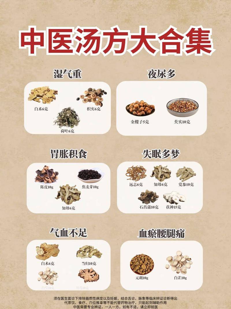 中医食疗可以补充能量_中医食疗可以_中医食疗可以补充蛋白质