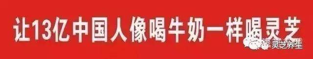 中医食疗养生网_养生中医食疗网官方网站_中医食疗养生方