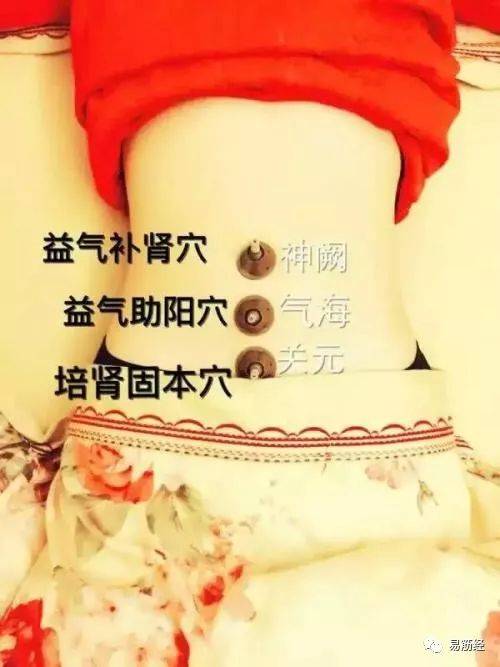 中医养生药膳与食疗全书_中医养生及药膳食疗手册_中医养生药膳及配方