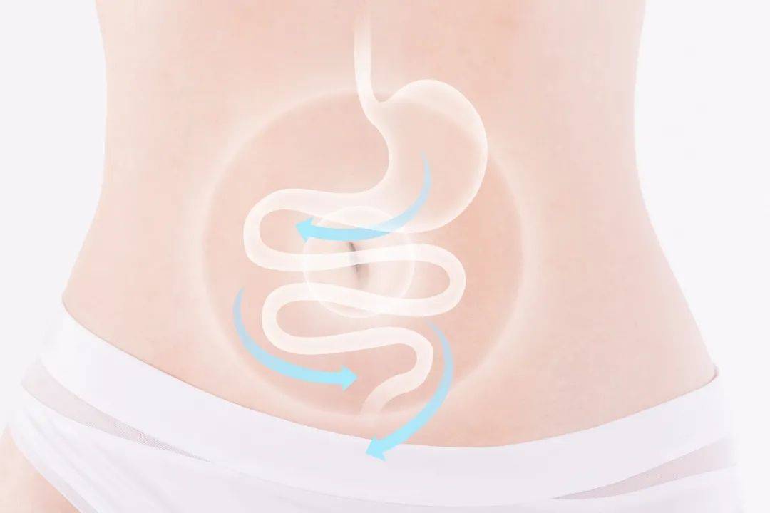 中医调理脾胃食疗食谱_调理中医食谱脾胃食疗图片_中医调理脾胃的经典方剂