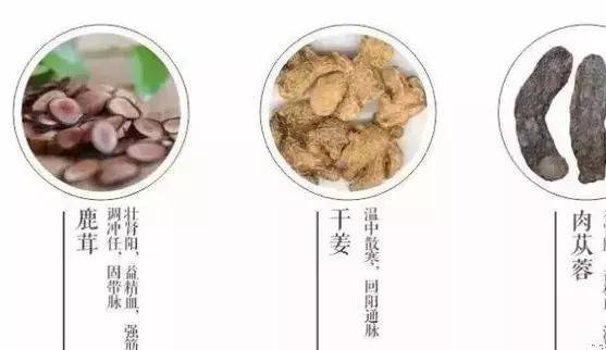 中医调气血的方子_调气血是中医食疗唯一的实现途径_中医调气血吃哪几种药