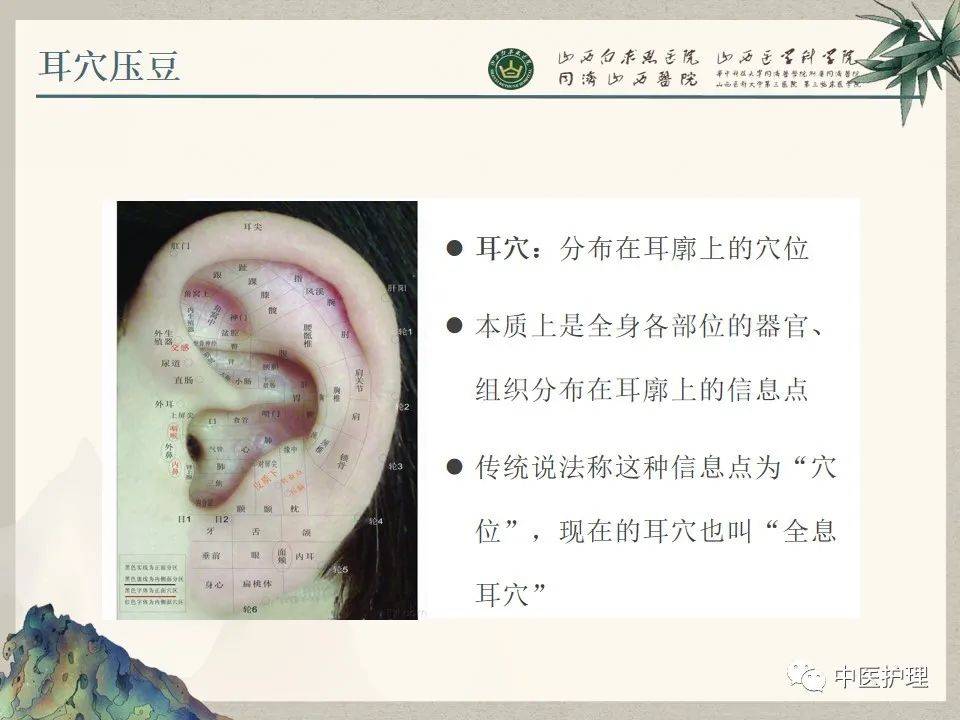 中医视频讲座_中医视频讲座课堂_中医讲堂视频