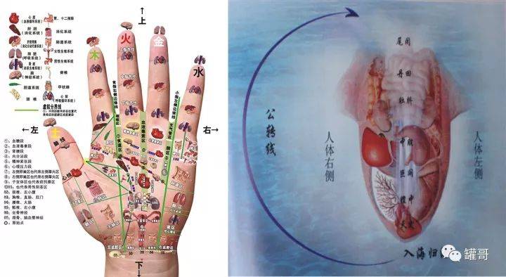 中医经络学视频教程全集_中医基础理论经络讲解视频_中医经络教学视频教程全集