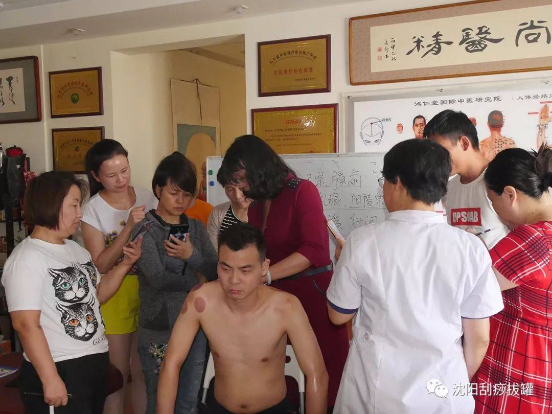 中医经络学视频教程全集_中医经络教学视频教程全集_中医基础理论经络讲解视频