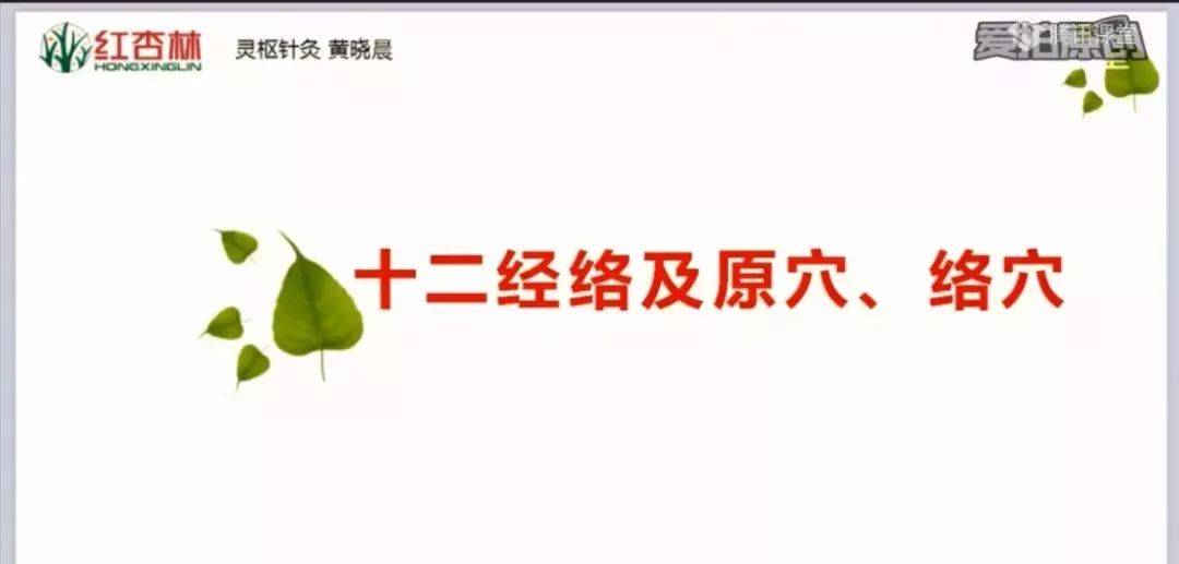 中医基础经络教学视频_中医基础理论经络讲解视频_中医经络学视频