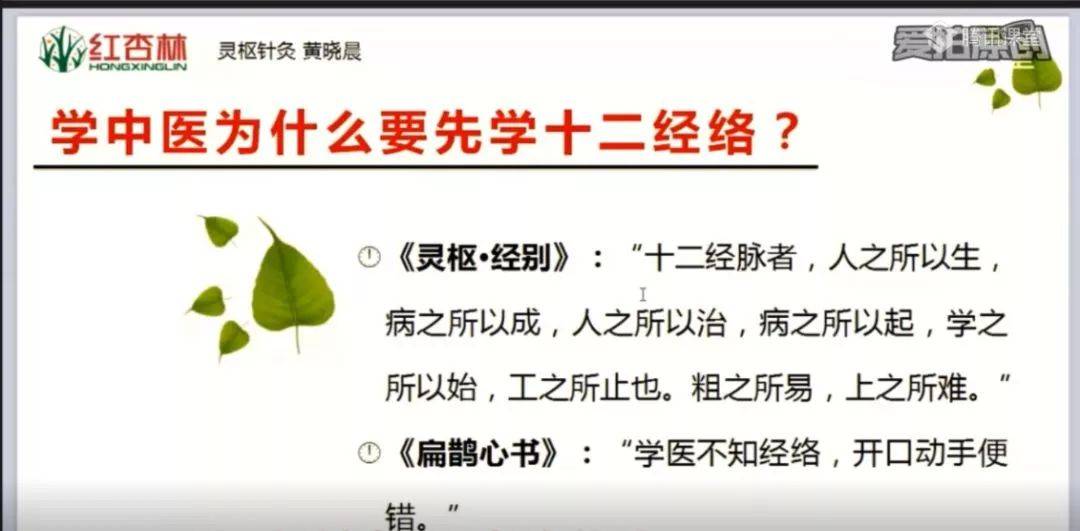 中医基础理论经络讲解视频_中医经络学视频_中医基础经络教学视频
