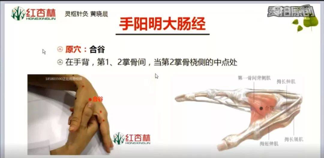 中医基础理论经络讲解视频_中医经络学视频_中医基础经络教学视频