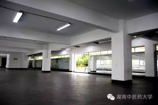 中医视诊包括哪些内容_**东中医诊断学教学视频东_中医妇科学教学视频