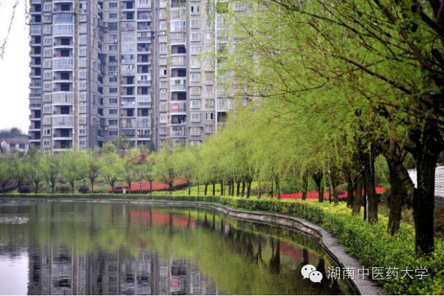 中医视诊包括哪些内容_中医妇科学教学视频_**东中医诊断学教学视频东
