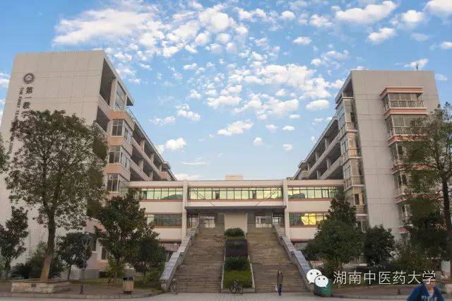 中医妇科学教学视频_**东中医诊断学教学视频东_中医视诊包括哪些内容