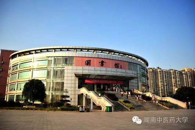 中医妇科学教学视频_中医视诊包括哪些内容_**东中医诊断学教学视频东
