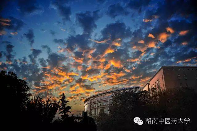 **东中医诊断学教学视频东_中医妇科学教学视频_中医视诊包括哪些内容