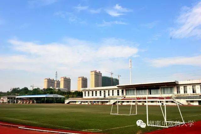 中医妇科学教学视频_中医视诊包括哪些内容_**东中医诊断学教学视频东