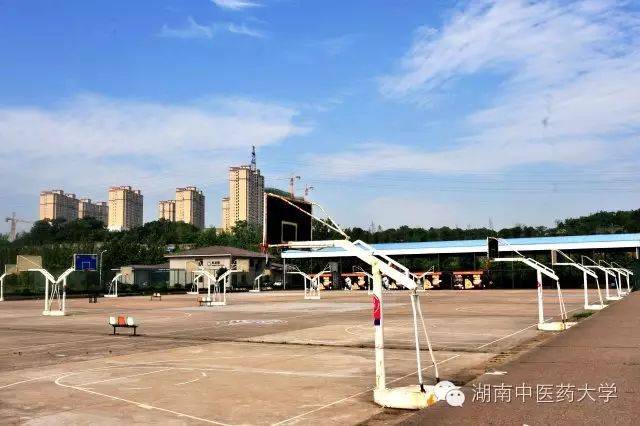 中医妇科学教学视频_**东中医诊断学教学视频东_中医视诊包括哪些内容