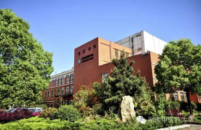 **东中医诊断学教学视频东_中医妇科学教学视频_中医视诊包括哪些内容