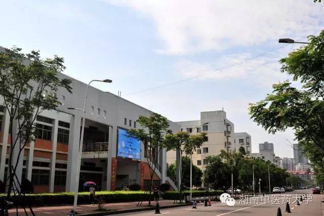 中医妇科学教学视频_**东中医诊断学教学视频东_中医视诊包括哪些内容