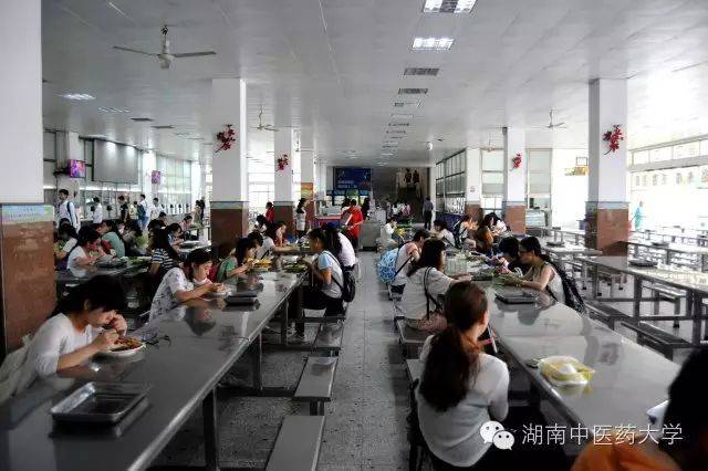 中医妇科学教学视频_**东中医诊断学教学视频东_中医视诊包括哪些内容