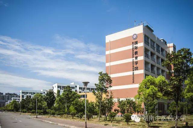 中医妇科学教学视频_**东中医诊断学教学视频东_中医视诊包括哪些内容
