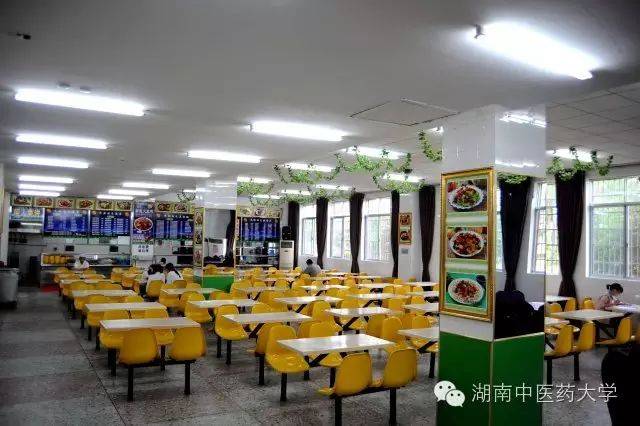 中医视诊包括哪些内容_中医妇科学教学视频_**东中医诊断学教学视频东