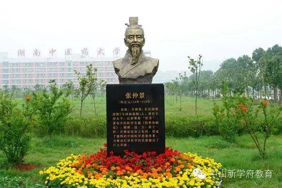 中医视诊包括哪些内容_中医妇科学教学视频_**东中医诊断学教学视频东