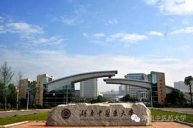 **东中医诊断学教学视频东_中医妇科学教学视频_中医视诊包括哪些内容