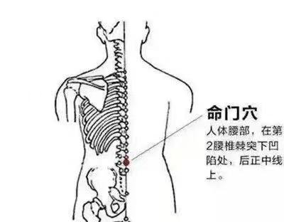 中医经络养生健身操_中医经络养生操视频_经络养生操12