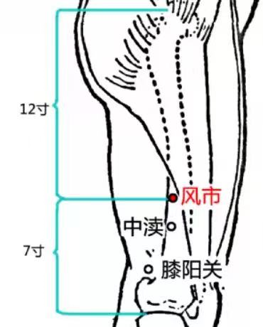 经络养生操12_中医经络养生操视频_中医经络养生健身操
