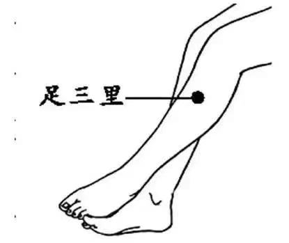 中医经络养生健身操_经络养生操12_中医经络养生操视频