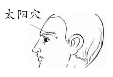 中医经络养生操视频_经络养生操12_中医经络养生健身操