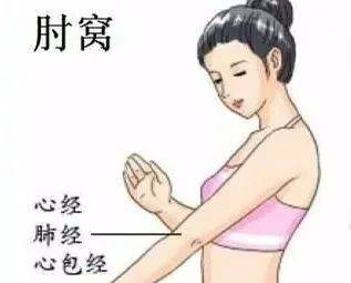 中医经络养生操视频_经络养生操12_中医经络养生健身操