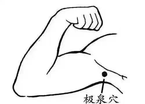 经络养生操12_中医经络养生操视频_中医经络养生健身操
