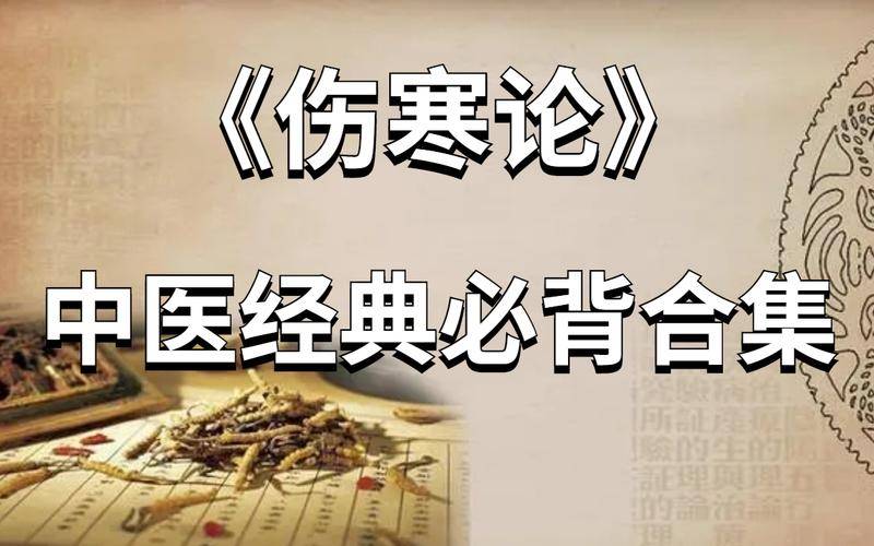 中医视频全集_中医经典视频_中医经典视频素材