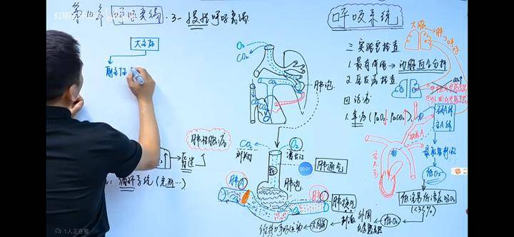 中医执业助理医师免费视频_中医执业助理医师网课视频_中医执业助理医师资格考试视频