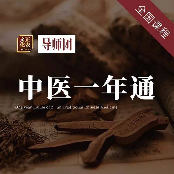 潘毅的中医基础理论视频_潘毅中医视频零基础_潘毅中医一年通视频