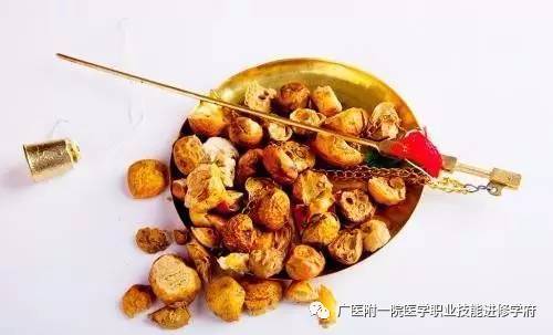 31部中医教学视频_40部中医教学视频_中医教学视频全集40
