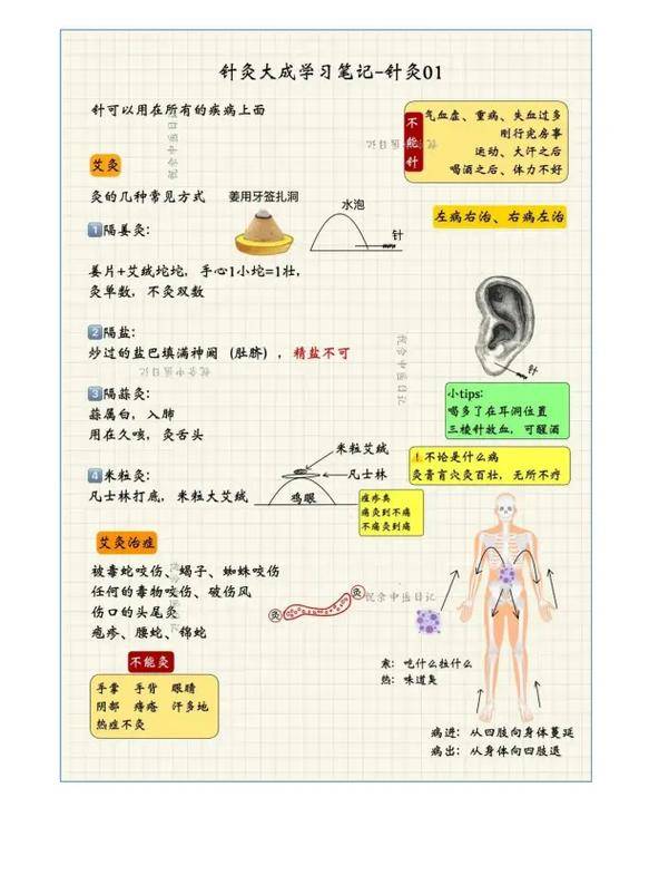 中医针灸学视频30集_中医针灸教学免费视频_中医针灸学视频讲座30集
