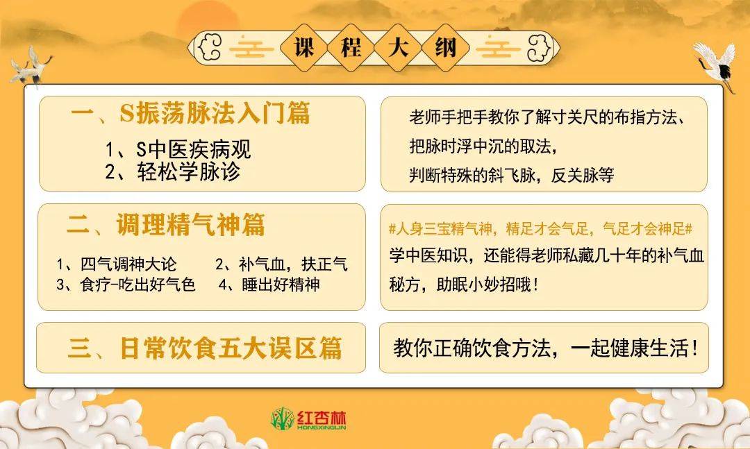 脉诊教学视频全集_脉诊视屏_中医脉诊教学28脉视频