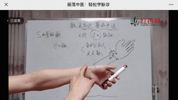 脉诊教学视频全集_脉诊视屏_中医脉诊教学28脉视频