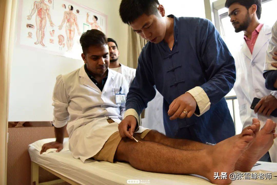 中医中药学视频_中医中药视频教学_中医中药学免费视频全集下载