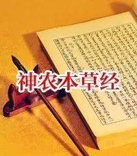 中医基础理论视频简介_中医理论基础视频全集_中医学基础理论教学视频