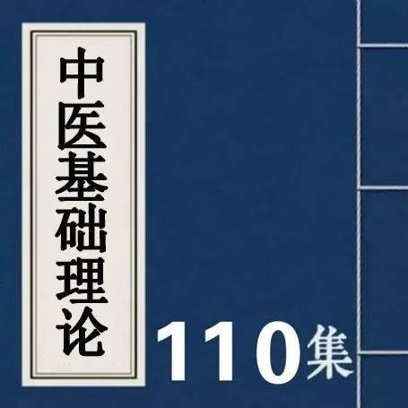 潘毅中医基础理论视频_中医学基础理论教学视频潘毅_中医基础理论潘毅112视频