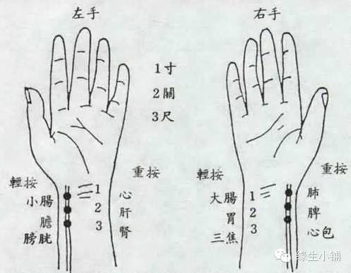 中医脉诊教学视频全集_中医脉诊讲解视频_中医脉诊入门视频讲座