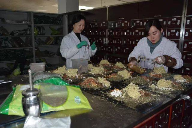 国医堂中医专家名单_国医堂名医馆_国医堂中医简介