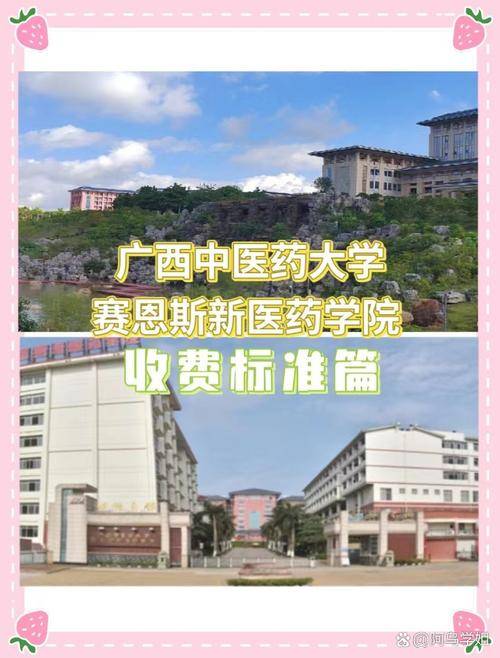 广西赛恩斯新医学院官网_广西中医学院赛恩斯新医药学院_广西赛恩斯新医药学院改名