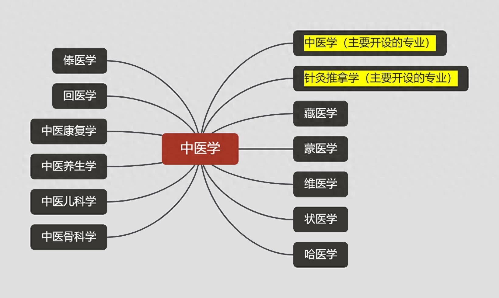 中医学课程_中医课程免费学_中医课程
