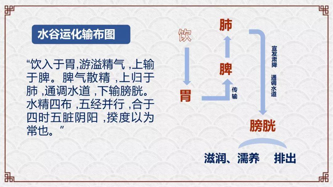 学中医主要学哪些东西_学中医主要学什么_中医学主要学什么
