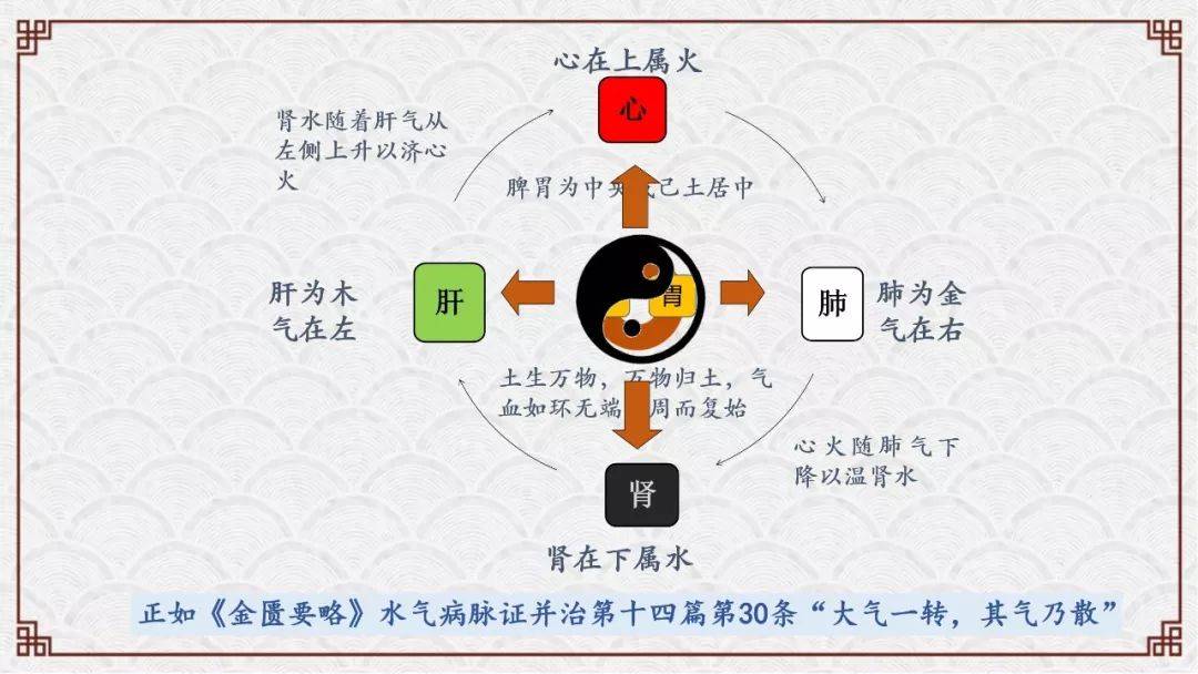 中医学主要学什么_学中医主要学什么_学中医主要学哪些东西